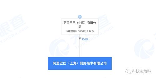 阿里巴巴在上海成立新公司，注冊(cè)資本1000萬元聚焦軟件開發(fā)